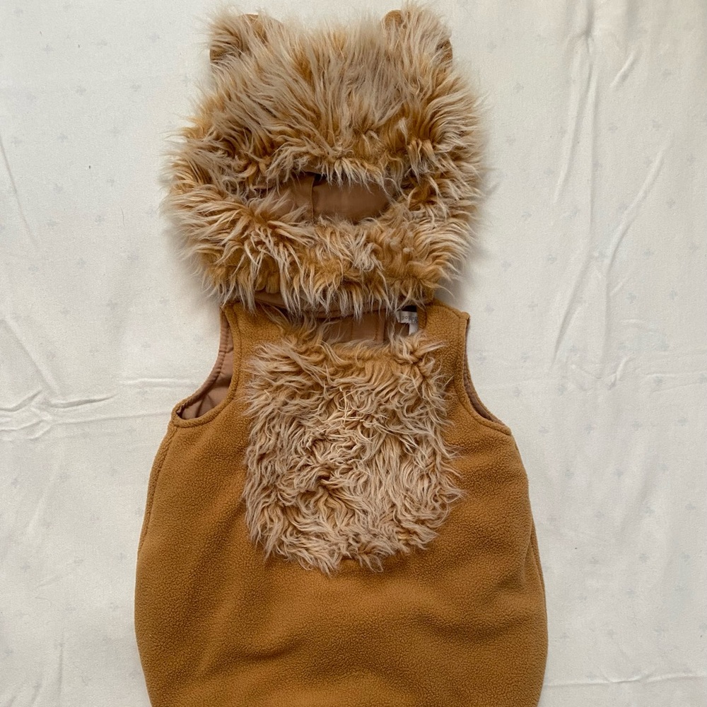Pottery Barn Lion costume 6-12 months